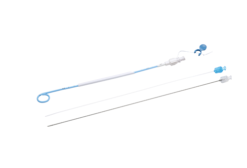 Close Loop Pigtail Drainage Catheter Set(BT-PDS-series-(CL);BT-PDS-series-W(CL))
