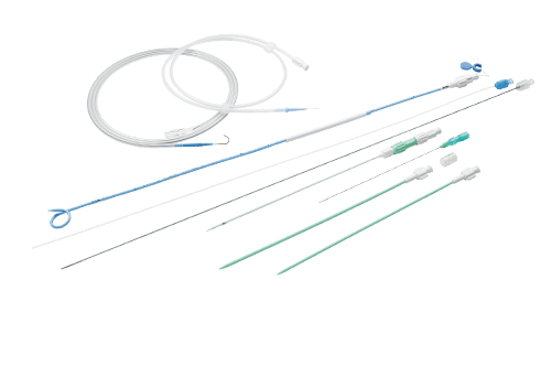 Drainage Biliary Catheter Kit with Radiopaque Band-BT-PDS-BRB-NK2-T