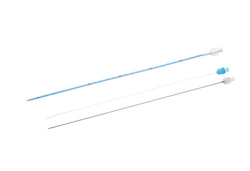 Straight Drainage Catheter Set(BT-PD2-series)